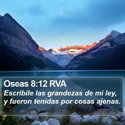 Oseas 8:12 RVA Bible Verse Image