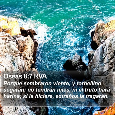 Oseas 8:7 RVA Bible Verse Image