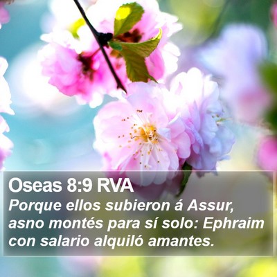 Oseas 8:9 RVA Bible Verse Image