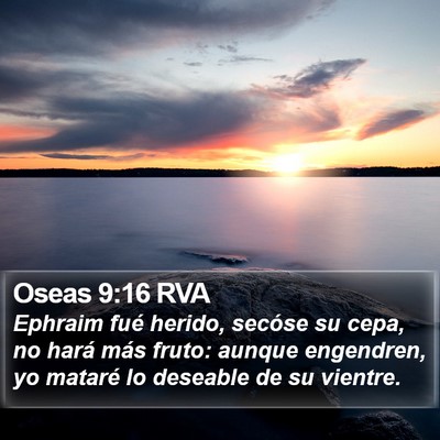 Oseas 9:16 RVA Bible Verse Image