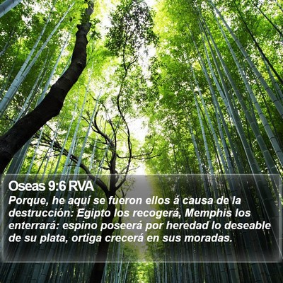 Oseas 9:6 RVA Bible Verse Image