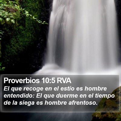 Proverbios 10:5 RVA Bible Verse Image