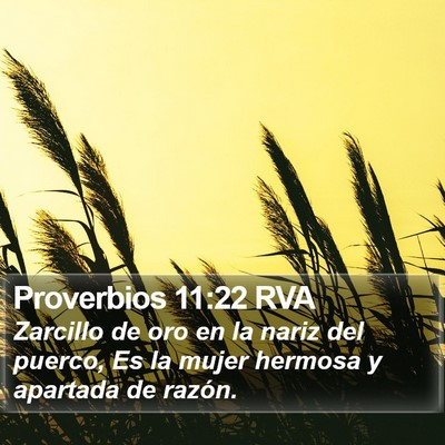 Proverbios 11:22 RVA Bible Verse Image