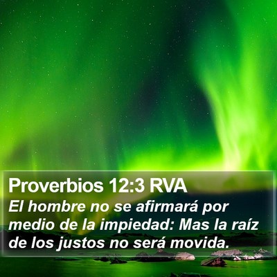 Proverbios 12:3 RVA Bible Verse Image