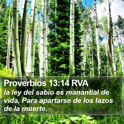 Proverbios 13:14 RVA Bible Verse Image