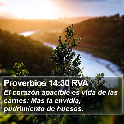 Proverbios 14:30 RVA Bible Verse Image
