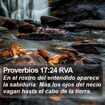 Proverbios 17:24 RVA Bible Verse Image