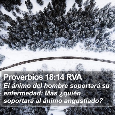 Proverbios 18:14 RVA Bible Verse Image