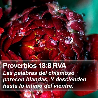 Proverbios 18:8 RVA Bible Verse Image