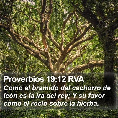 Proverbios 19:12 RVA Bible Verse Image