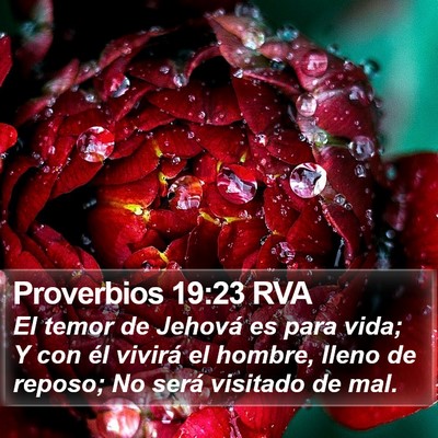 Proverbios 19:23 RVA Bible Verse Image