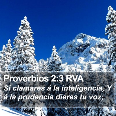 Proverbios 2:3 RVA Bible Verse Image