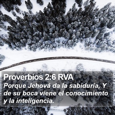 Proverbios 2:6 RVA Bible Verse Image