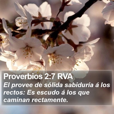 Proverbios 2:7 RVA Bible Verse Image