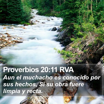 Proverbios 20:11 RVA Bible Verse Image