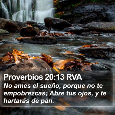 Proverbios 20:13 RVA Bible Verse Image