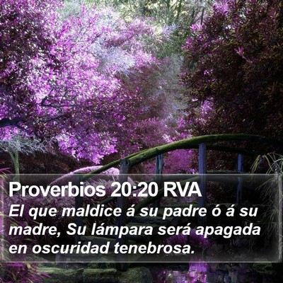 Proverbios 20:20 RVA Bible Verse Image