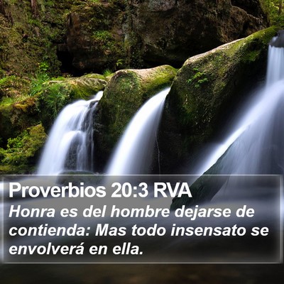 Proverbios 20:3 RVA Bible Verse Image