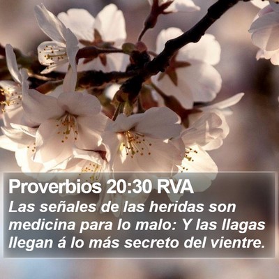 Proverbios 20:30 RVA Bible Verse Image