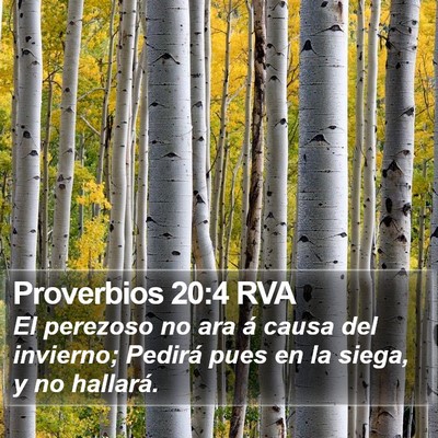 Proverbios 20:4 RVA Bible Verse Image