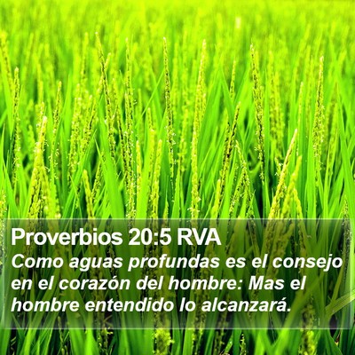 Proverbios 20:5 RVA Bible Verse Image