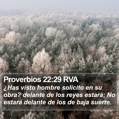 Proverbios 22:29 RVA Bible Verse Image