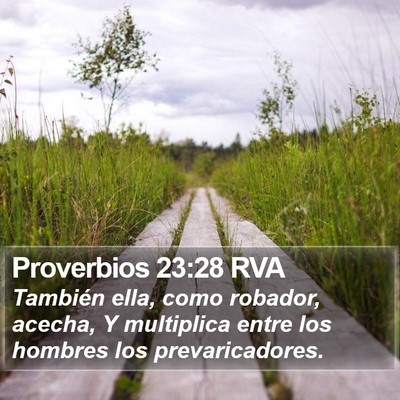 Proverbios 23:28 RVA Bible Verse Image