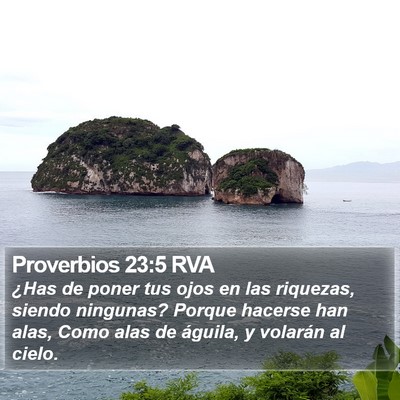 Proverbios 23:5 RVA Bible Verse Image