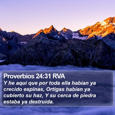 Proverbios 24:31 RVA Bible Verse Image