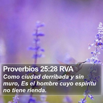 Proverbios 25:28 RVA Bible Verse Image