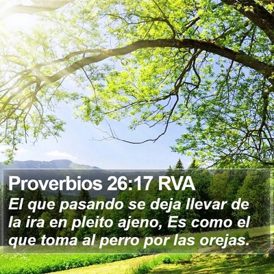 Proverbios 26:17 RVA Bible Verse Image