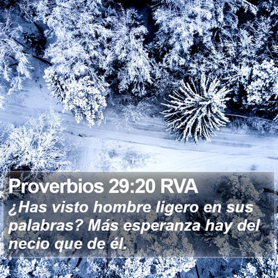Proverbios 29:20 RVA Bible Verse Image