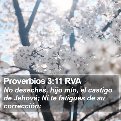 Proverbios 3:11 RVA Bible Verse Image