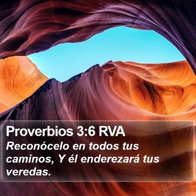 Proverbios 3:6 RVA Bible Verse Image