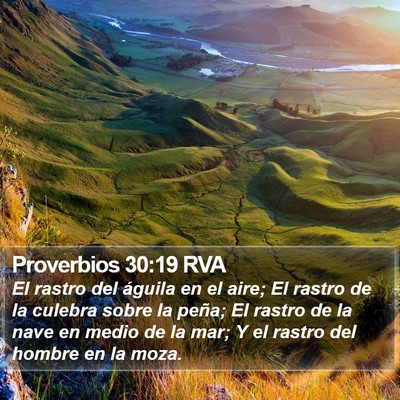 Proverbios 30:19 RVA Bible Verse Image