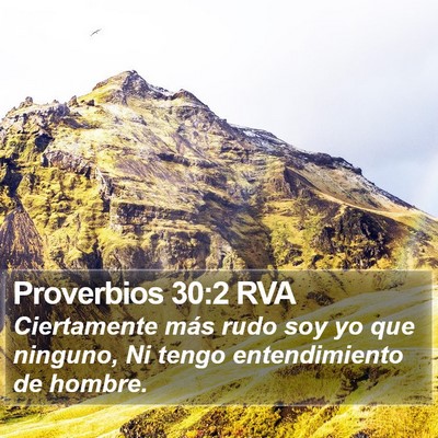 Proverbios 30:2 RVA Bible Verse Image
