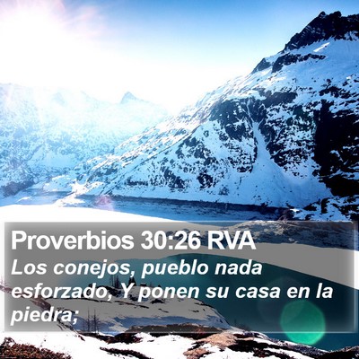 Proverbios 30:26 RVA Bible Verse Image