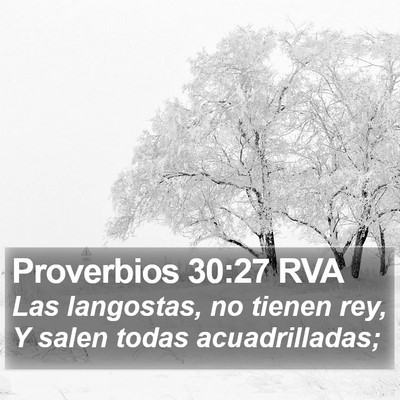 Proverbios 30:27 RVA Bible Verse Image