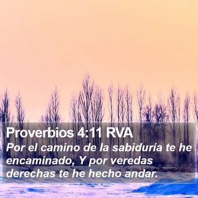 Proverbios 4:11 RVA Bible Verse Image