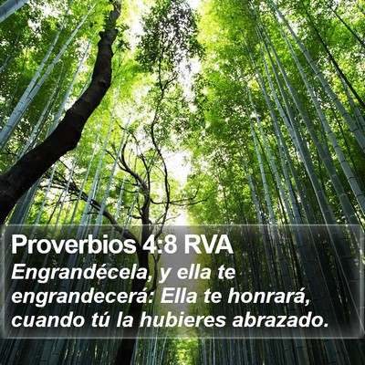Proverbios 4:8 RVA Bible Verse Image