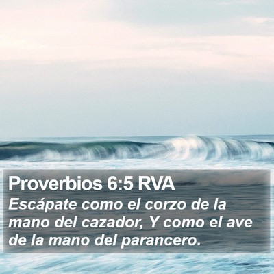 Proverbios 6:5 RVA Bible Verse Image