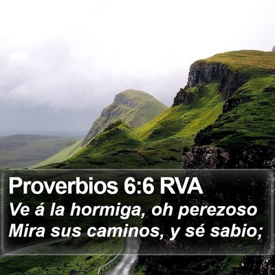 Proverbios 6:6 RVA Bible Verse Image