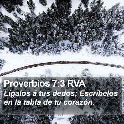 Proverbios 7:3 RVA Bible Verse Image
