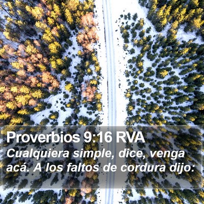 Proverbios 9:16 RVA Bible Verse Image