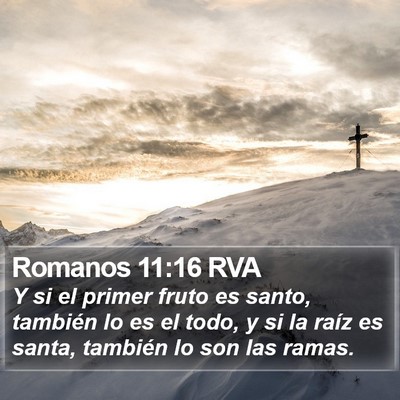 Romanos 11:16 RVA Bible Verse Image
