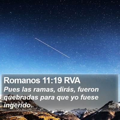 Romanos 11:19 RVA Bible Verse Image