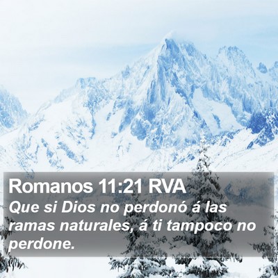 Romanos 11:21 RVA Bible Verse Image