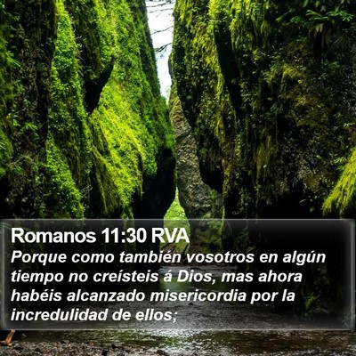Romanos 11:30 RVA Bible Verse Image
