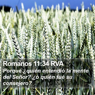 Romanos 11:34 RVA Bible Verse Image