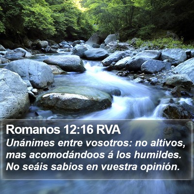Romanos 12:16 RVA Bible Verse Image